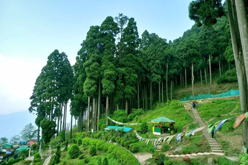 Sikkim - Takdah